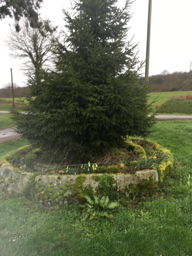 Charming 2-Bed Cabin In Domfront-En-Poiraie Perrou Luaran gambar